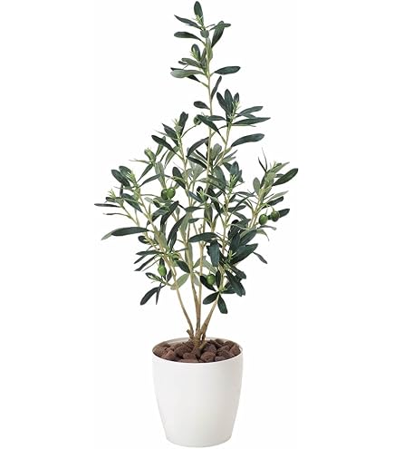 Amazon｜光触媒 人工観葉植物 光の楽園 パキラリーフツリー72 2345A100